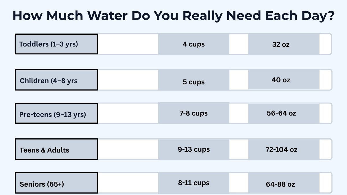 Daily water intake requirement table by age group from toddlers to seniors